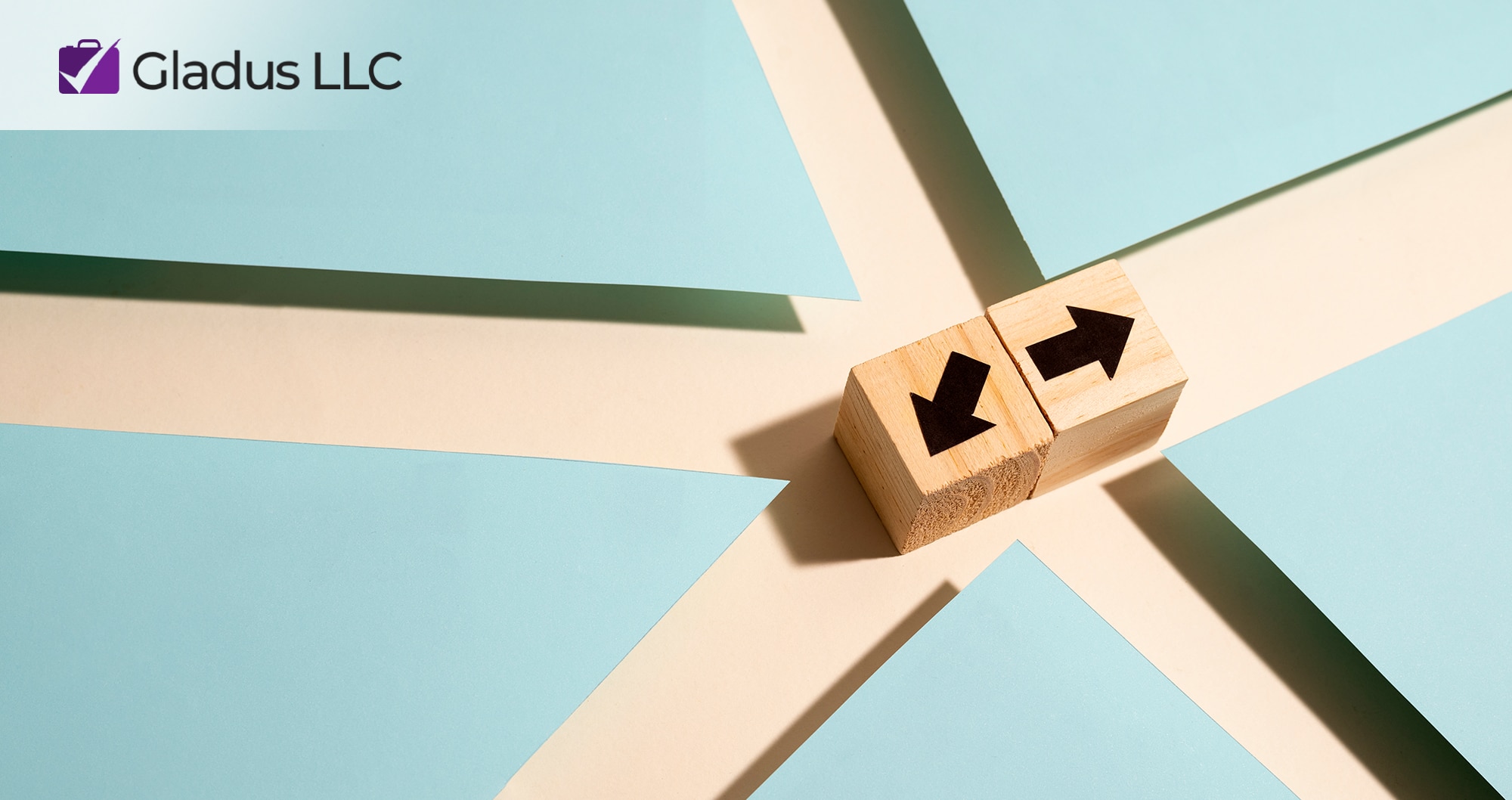 Navigating the Impact of Category Management on Small Business Goals