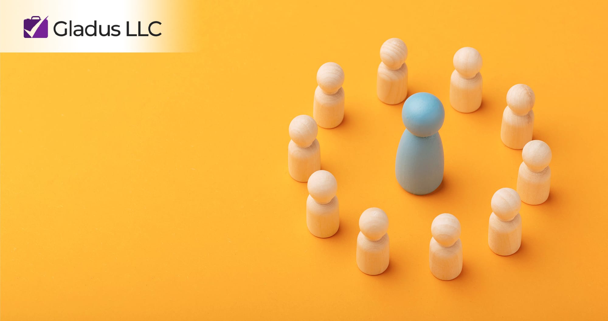 The Distinctive Characteristics of HR Companies in the US and Europe